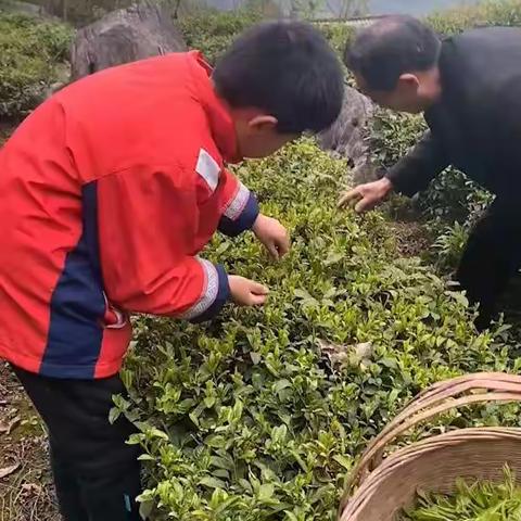 美妙的周末，快乐的时光