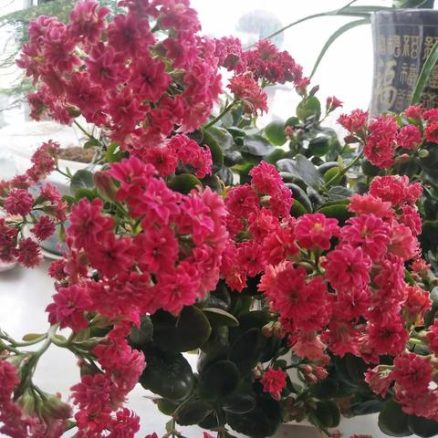 思念，无边无涯