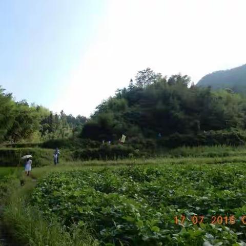 大王巡山龙须山穿越