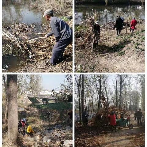 [新时代文明实践 铜山在行动]王堂村开展美丽河道整治工作