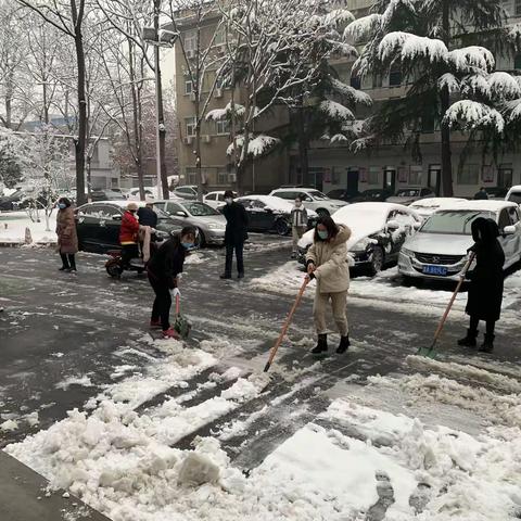 市委办公室组织干部职工开展除雪活动