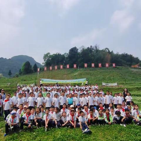 遵义市红花岗区第十八小学，春日研学