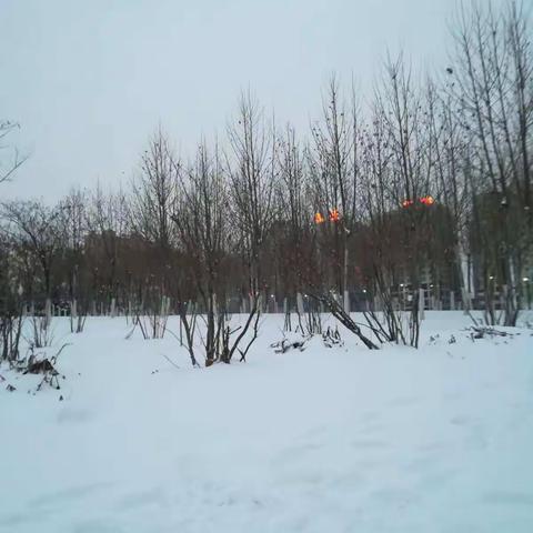 如意湖雪景