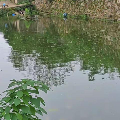 散步郊外 赏景开怀