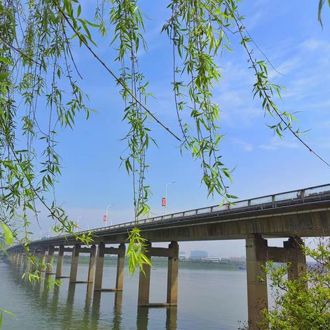 四月芳菲 春满人间