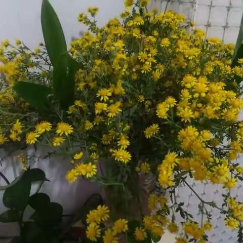 窄门峡谷～红叶大道