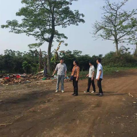 区农林局联合龙桥镇畜牧站到龙桥镇巡查有无贩卖走私羊违法行为