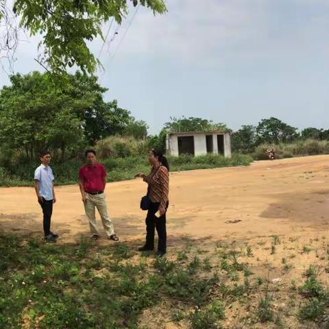 区农林局副局长王吉梅到遵谭镇开展食品站新址选址调研工作