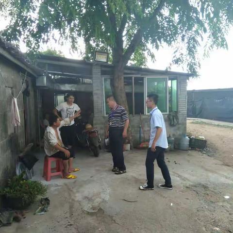 区农林局协助市林业执法大队处理一宗12345办件