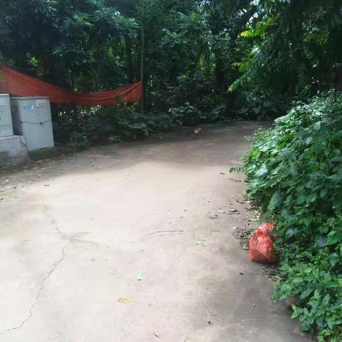 富伟村委会互评组深入新联村委会开展第三季度人居环境整治考评工作