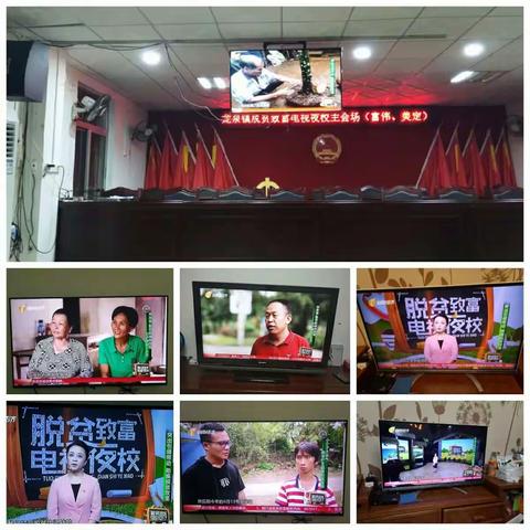 区农业农村局组织职工干部收看第137期《脱贫致富电视夜校》节目