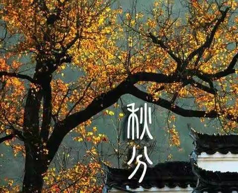 秋季是养生的最好时节