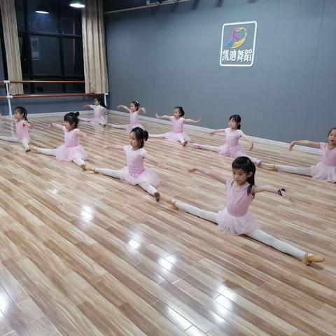 凯迪舞蹈•总校二级