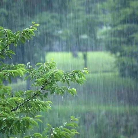 雨来啦—小四班