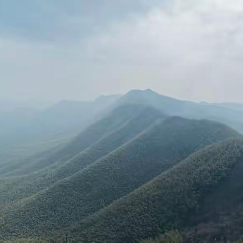 12月10日野趣横生溧阳青峰山挖冬笋一日户外行