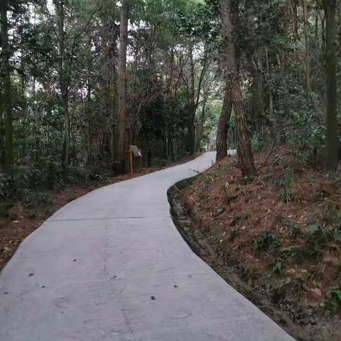 谈论健康问题——出入平衡论
