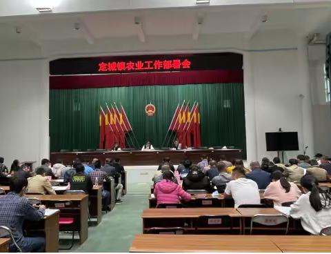 2022年定城镇农业工作部署会