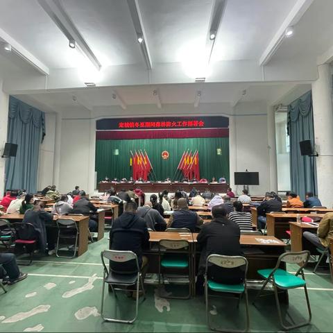 森林防火，防患于未“燃”——定城镇召开冬至期间森林防火工作部署会