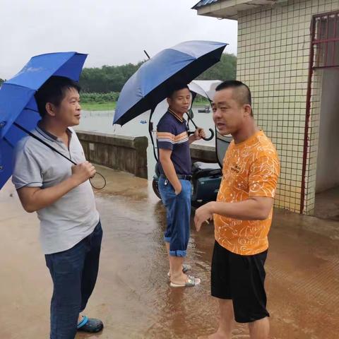 暴雨临城有序抢险、多管齐下保平安