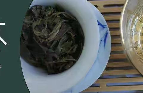 非主流普洱茶 "猫耳朵"尝试 #小茶控品鉴包