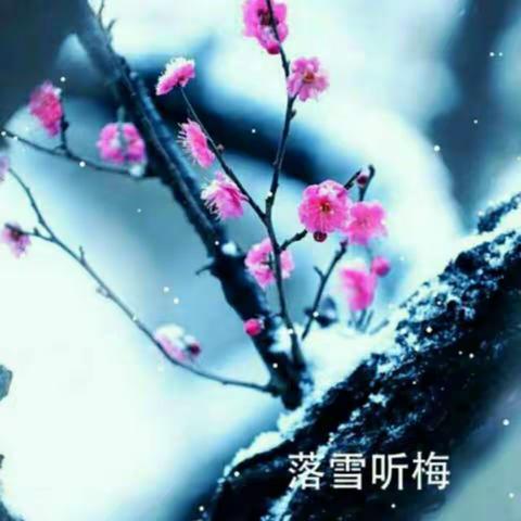 踏雪无痕