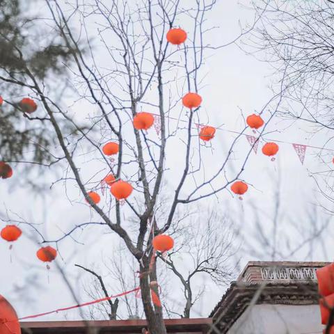 <WANG JIAN & MENG ZHEN HUA>王庄新世纪