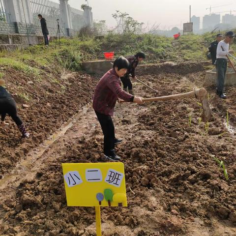 小二班的瓜地