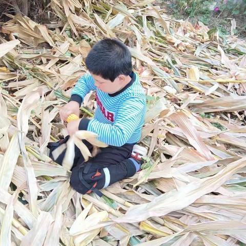 我用劳动庆国庆