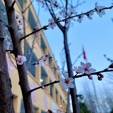 不负韶华思更进，听课评课学为先。——化河中心小学听评课活动