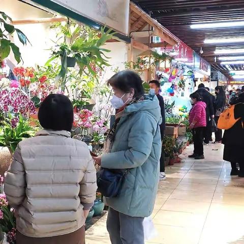 花卉市场“春意浓”