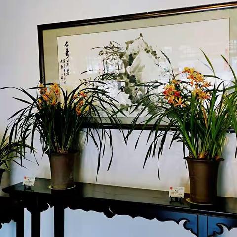 蕙芳园兰花飘香