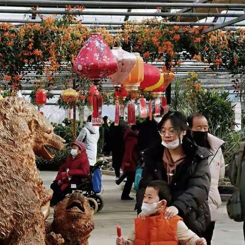 新春赶“庙会”图个热闹