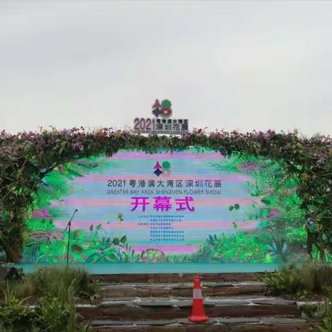 仙湖植物园花