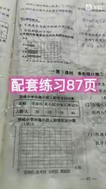 数学配套87页讲解