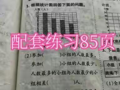 数学配套85页讲解