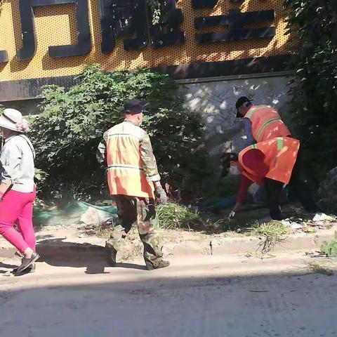 丛台区城管局综合科积极开展道路扬尘督帮工作