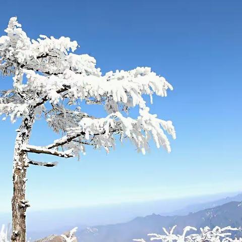 秦岭光头山＊＊雾凇