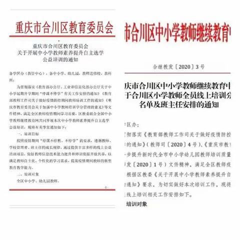 学无止境，学不止步——疫情期间佛门小学教师在线培训