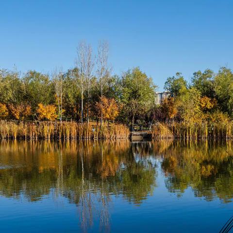 《立冬·丹凤公园》