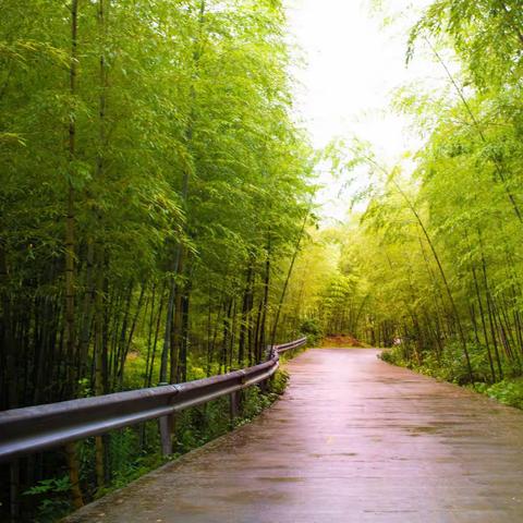 竹影清风过，海山驻我心