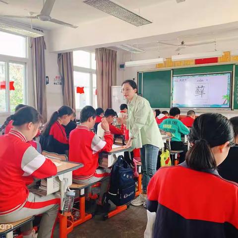 教学视导促发展，课堂教学求实效  —兆岸小学教学视导纪实