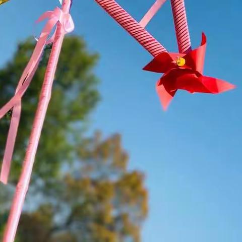 “弘扬践行浙西南革命精神”——兆小远足拉练活动