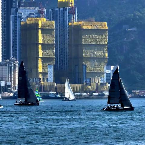 千帆闹维港  （2022.11.20  鲗鱼涌公园海旁 手机拍攝）