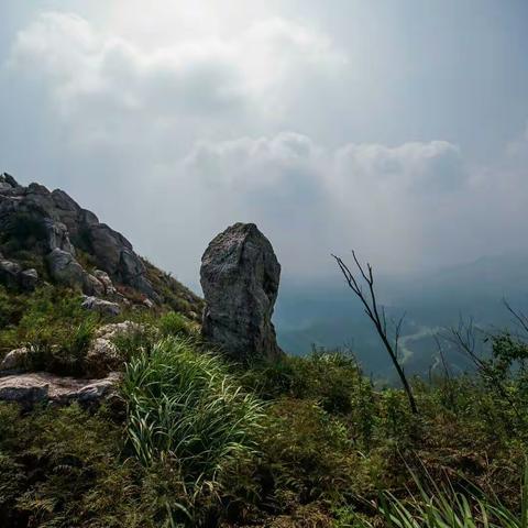 “保护湘南最美脊背，给青山来次大扫除”鸡公岩探险兼公益爬山活动