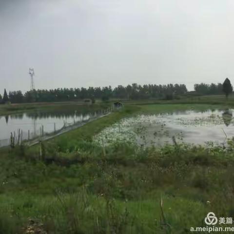 参赛投稿－－家乡