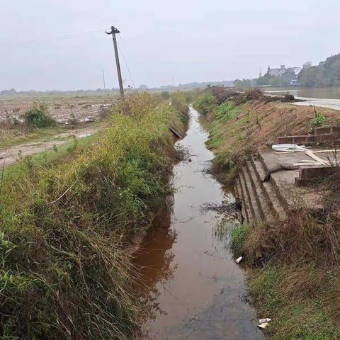 圩上桥镇富贵村的美篇