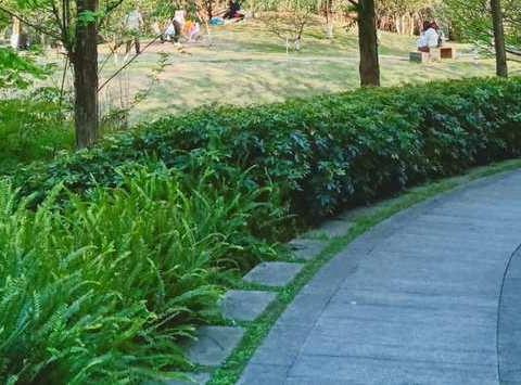 我和春天有个约会