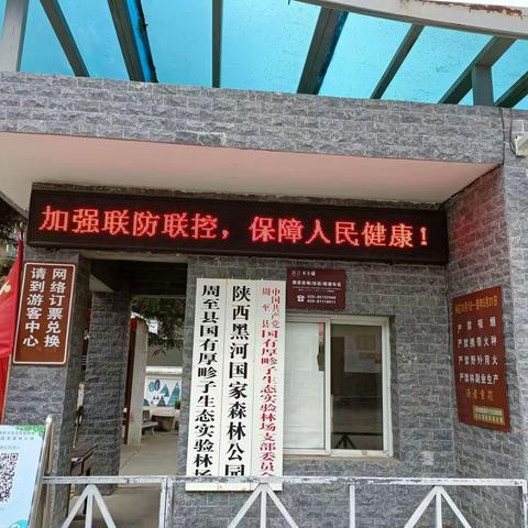 周至县国有厚畛子生态实验林场2021年11月6日工作纪实