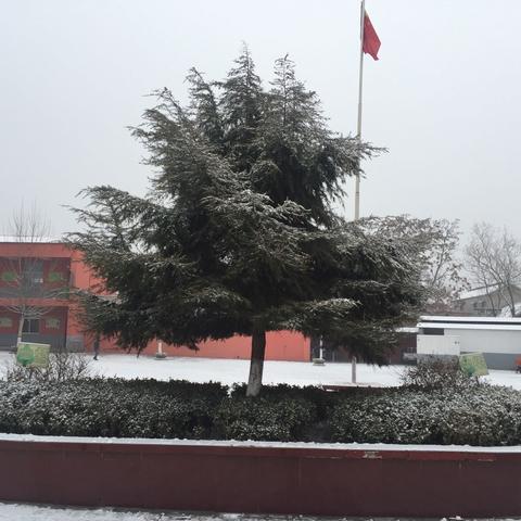 北关小学四（2）班的2017