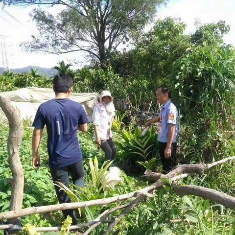 黎某杰与苏某菊占入田地种植槟榔苗争议纠纷